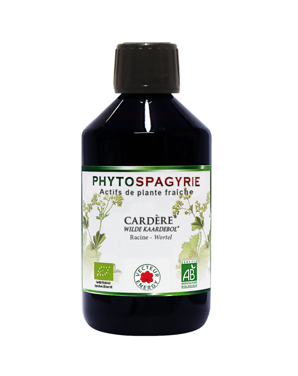 Phytospagyrie de plante fraiche Cardere* 300ml