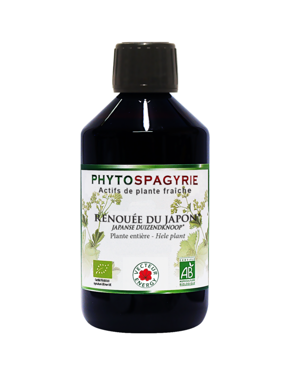 Phytospagyrie de plante fraiche Renouee du Japon* 300ml