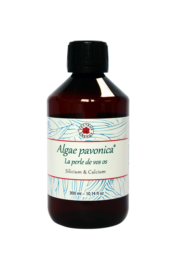 Extrait concentre de Padina pavonica 300ml