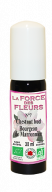 force des fleurs bourgeon de marronnier