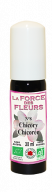 force des fleurs chicorée